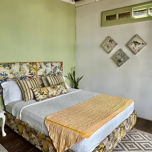 Mira Mira , Cartagena Colombia